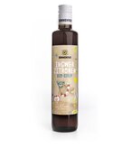 Ingwer-Zitronen Sirup bio