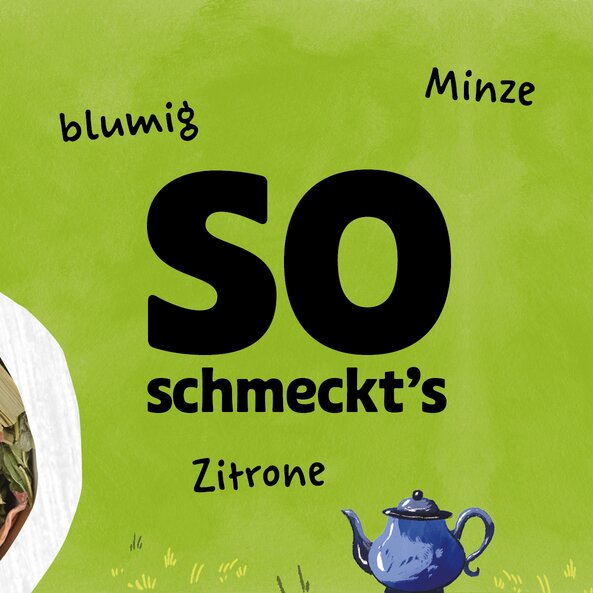Text „So schmeckt’s: blumig, Minze, Zitrone“ neben Illustration einer Teekanne