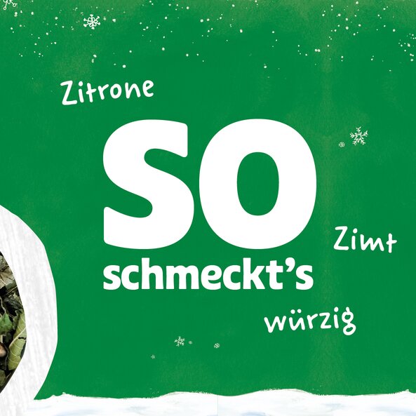 Geschmacksdarstellung zum Lichterglanz Kräutertee mit Text "so schmeckt's": "Zitrone", "Zimt" und "würzig"