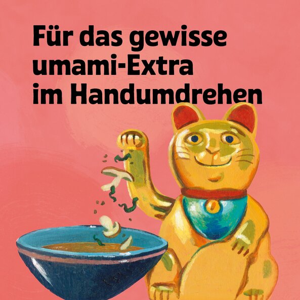 Illustration einer winkenden Katze mit Schüssel auf rosa Hintergrund und dem Schriftzug: "Für das gewisse umami-Extra im Handumdrehen".