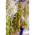 griechischer-bergtee-sonnentor-2.jpg_w413.png